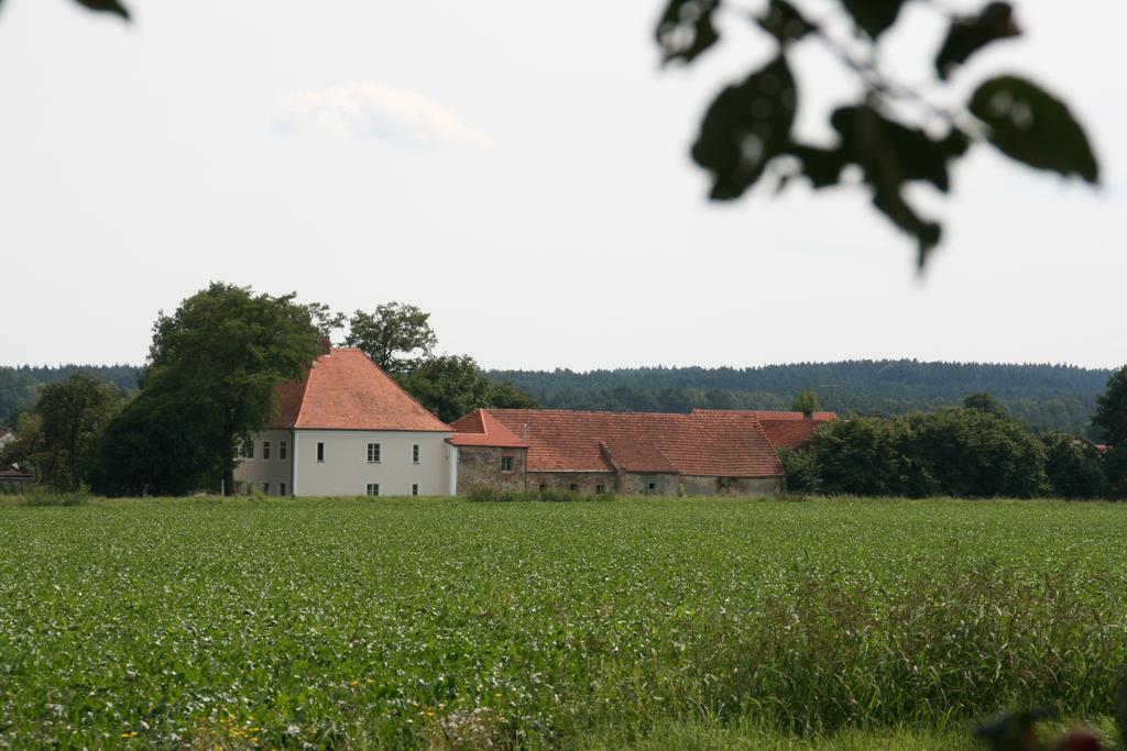 Historischer Pfarrhof Niederleierndorf Langquaid Værelse billede